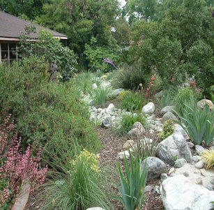 Front Yards